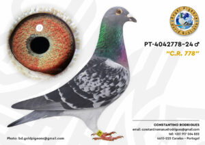 Pombo #04 - CR - L004