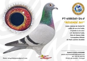 Pombo #08 - DR - L005