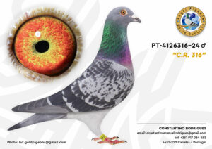 Pombo #09 - CR - L004