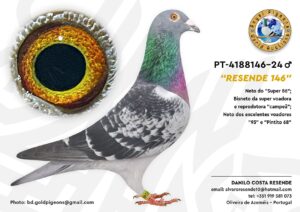 Pombo #09 - DR - L005