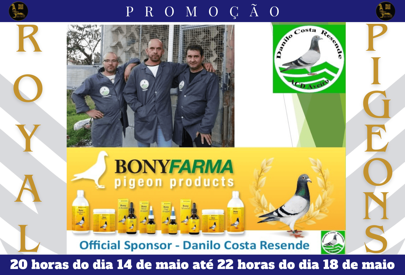 imagem-do-leilao