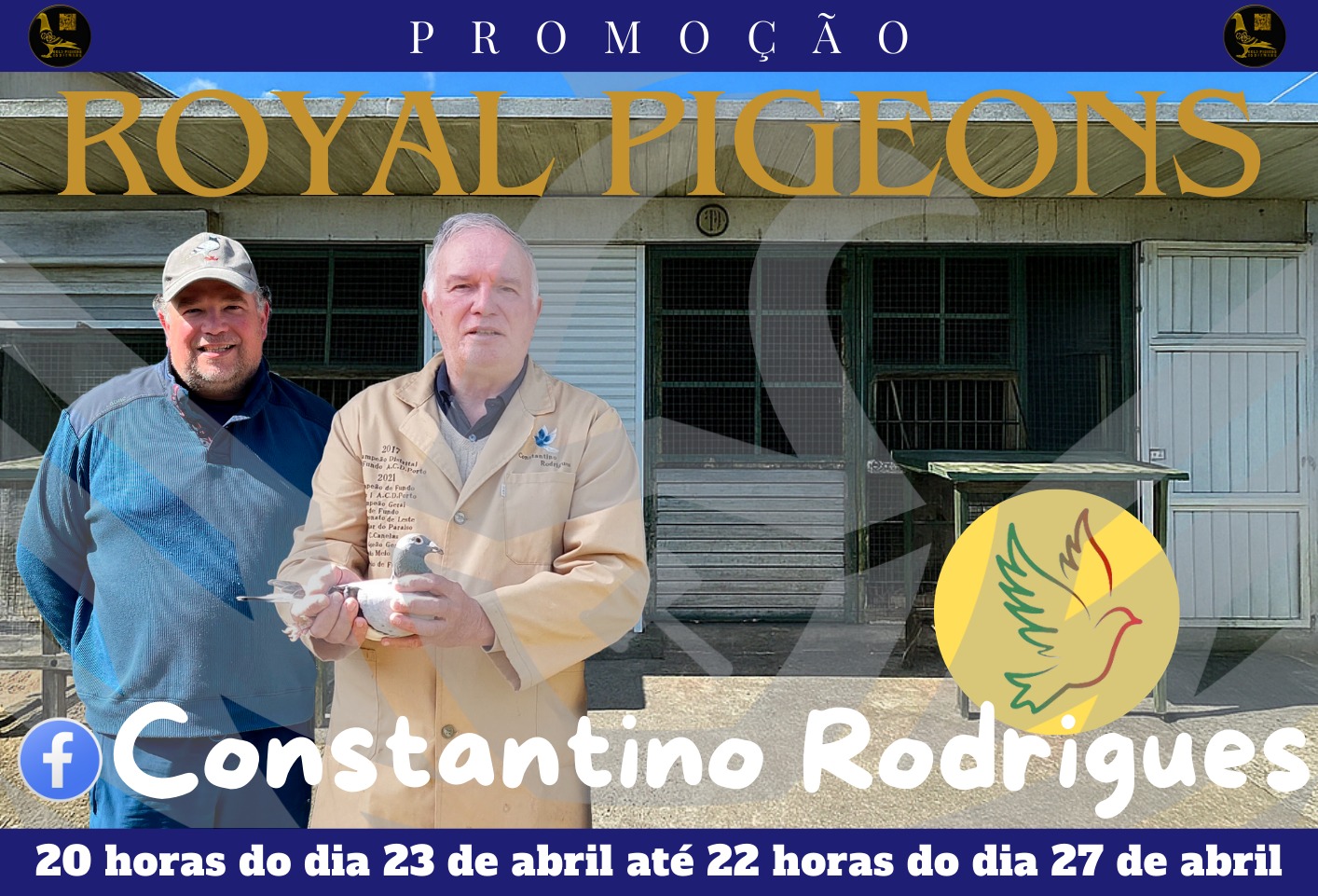 imagem-do-leilao